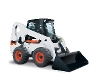 bobcat